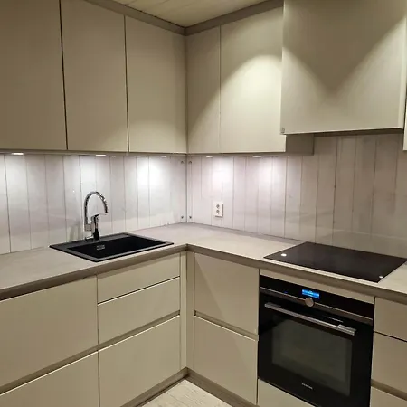 New And Exclusive In Voss With A Great View *