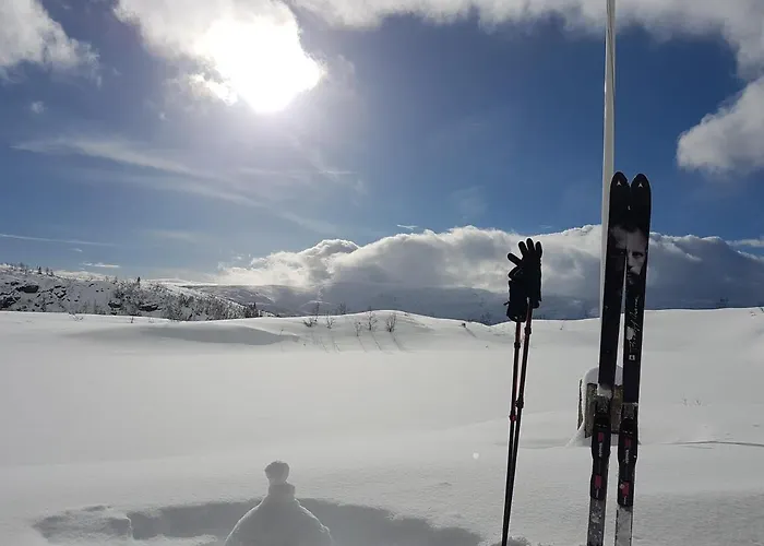 New And Exclusive In Voss With A Great View Skulestadmo